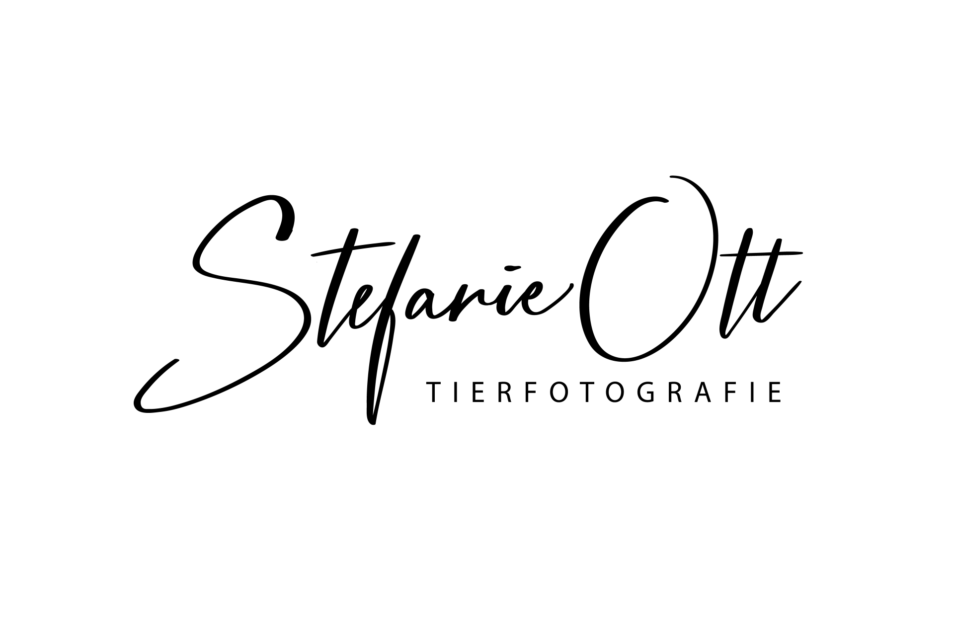 Logo Steffi